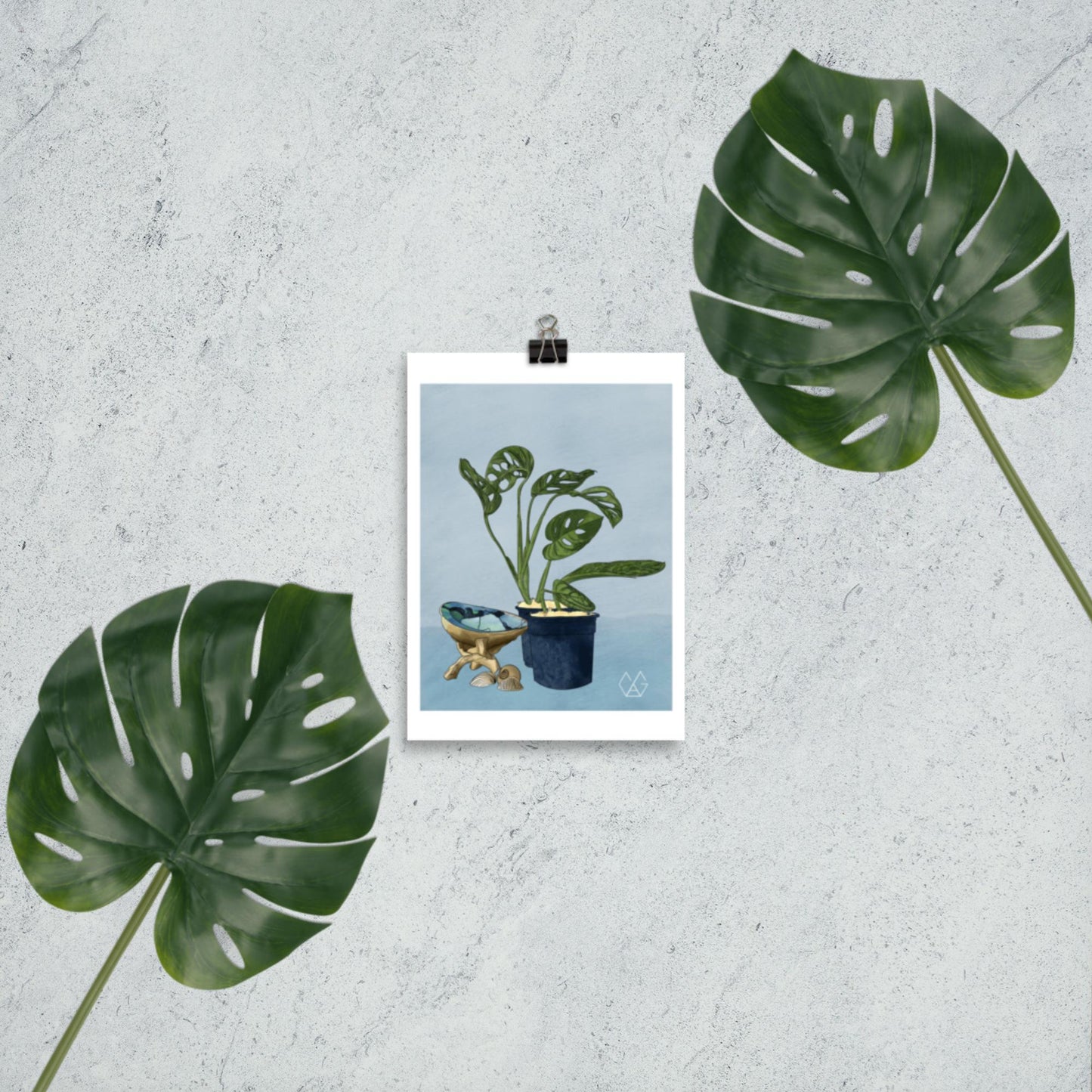 Monstera Adansonii and Peru Still Life Print