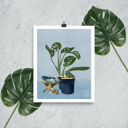 Monstera Adansonii and Peru Still Life Print